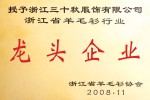 羊毛衫行業(yè)龍頭企業(yè)